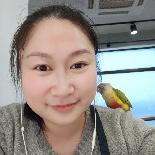 暗夜萤火的照片