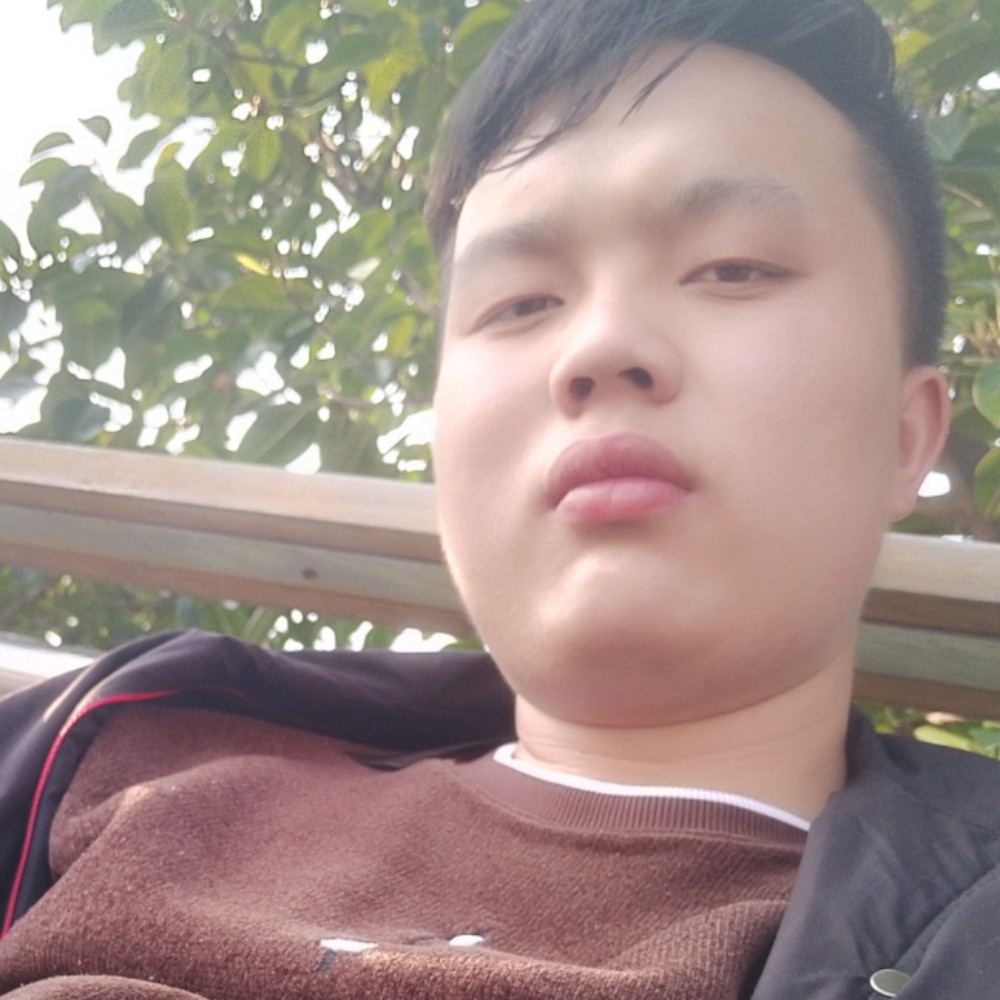 南鸢离梦的照片