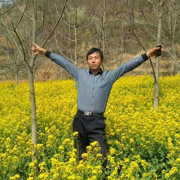 王涛峰的照片