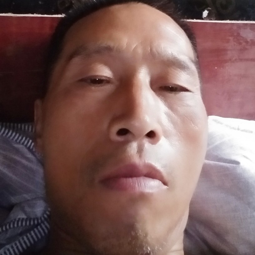 暴躁拾忆乌龟的照片
