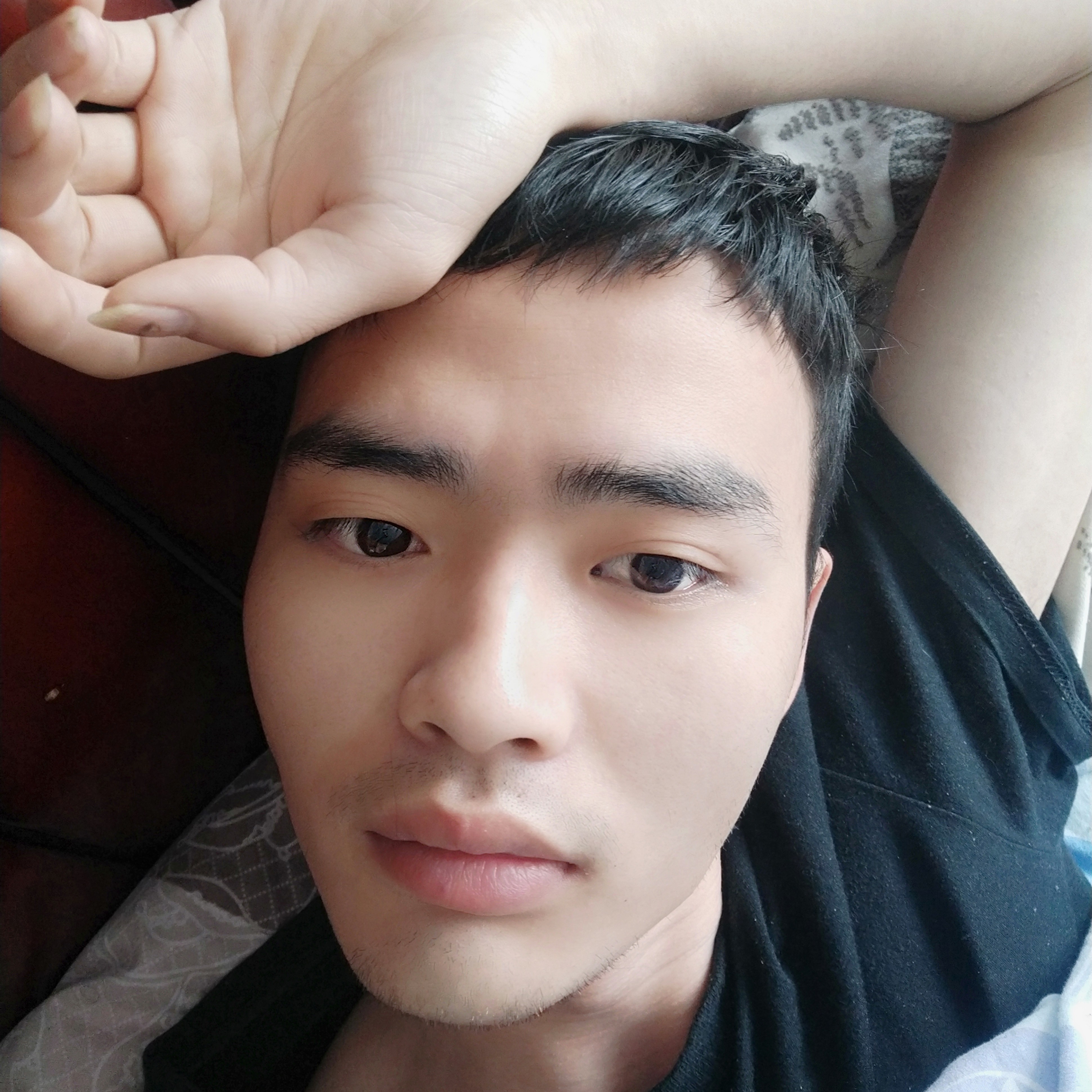 灰狼等待善良的照片