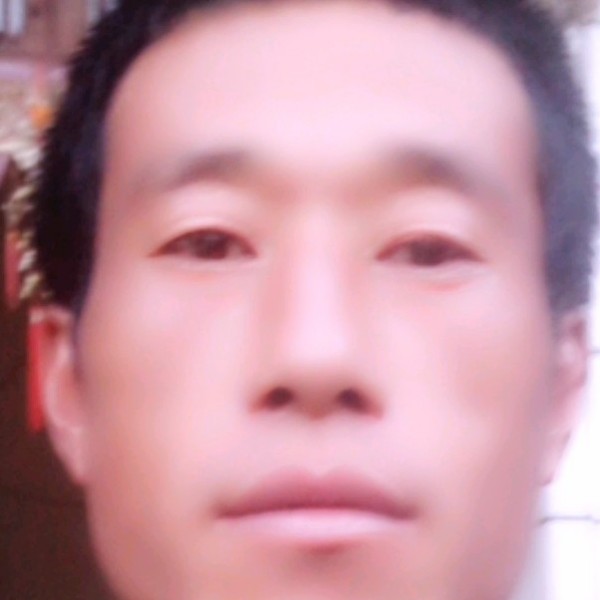 凤舞。的照片