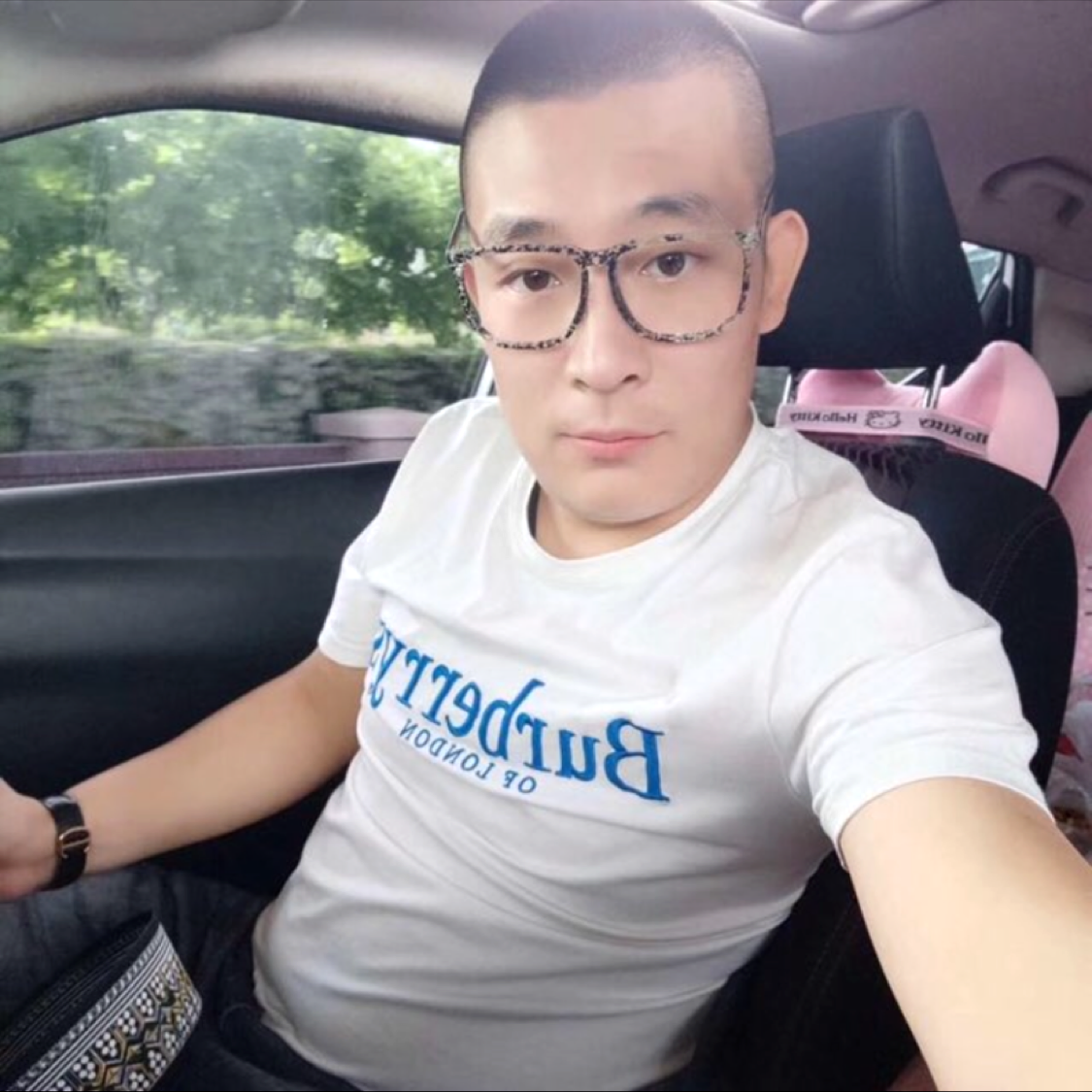 温顺的狮子的照片
