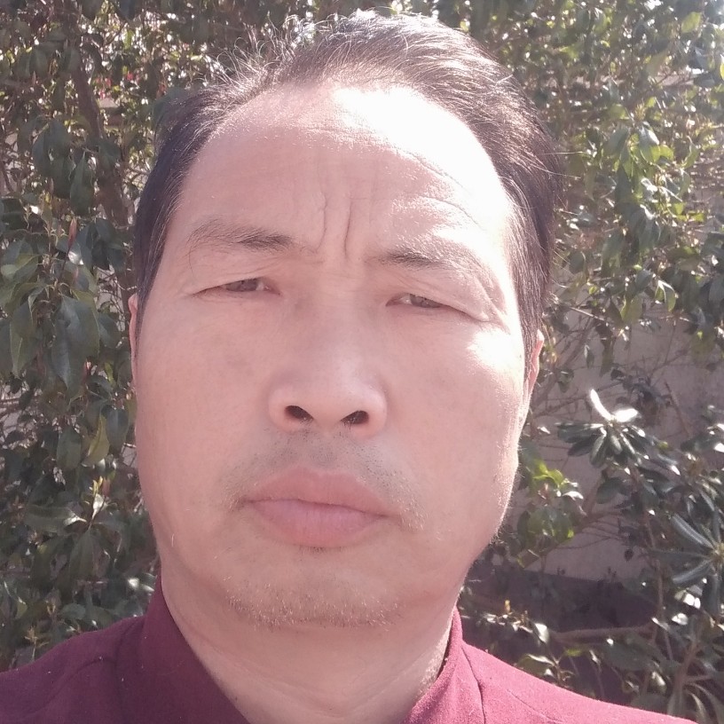 大炮无限的照片