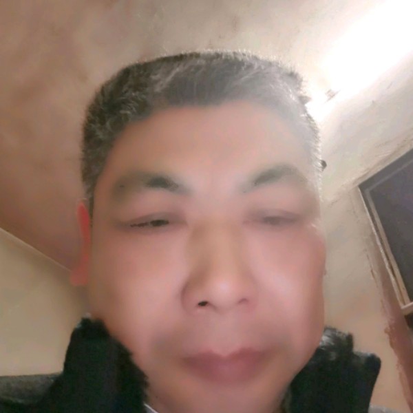 爱吃鱼的小野猫的照片