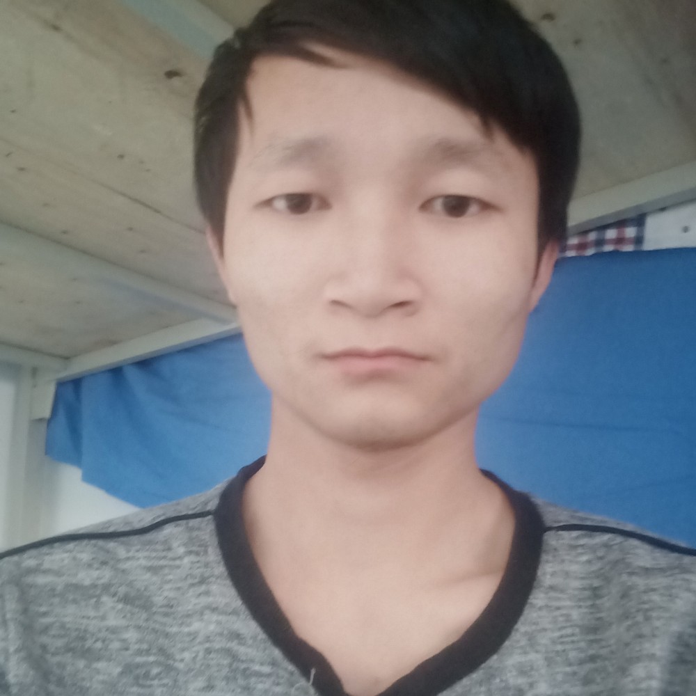 桀骜不驯的猴子的照片