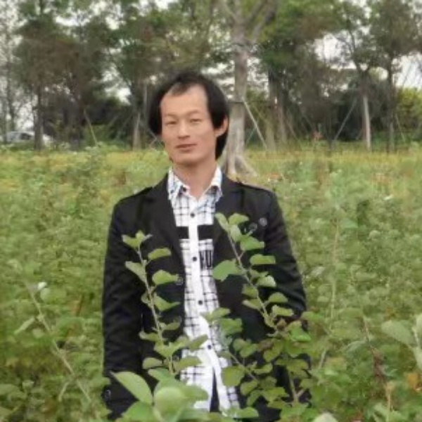 流年的打洛尘的照片