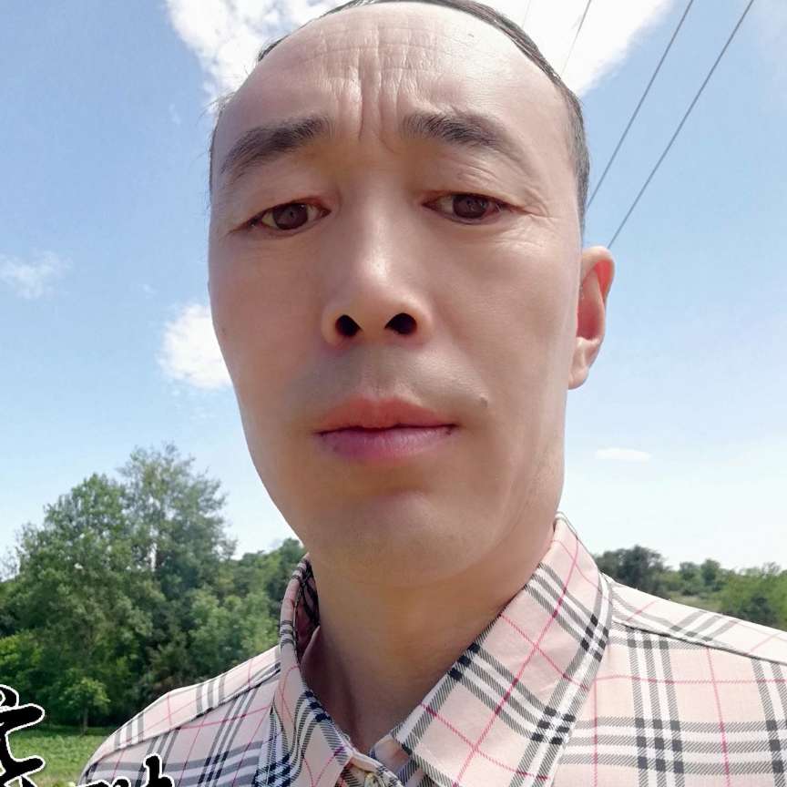 甜蜜的金鱼的照片