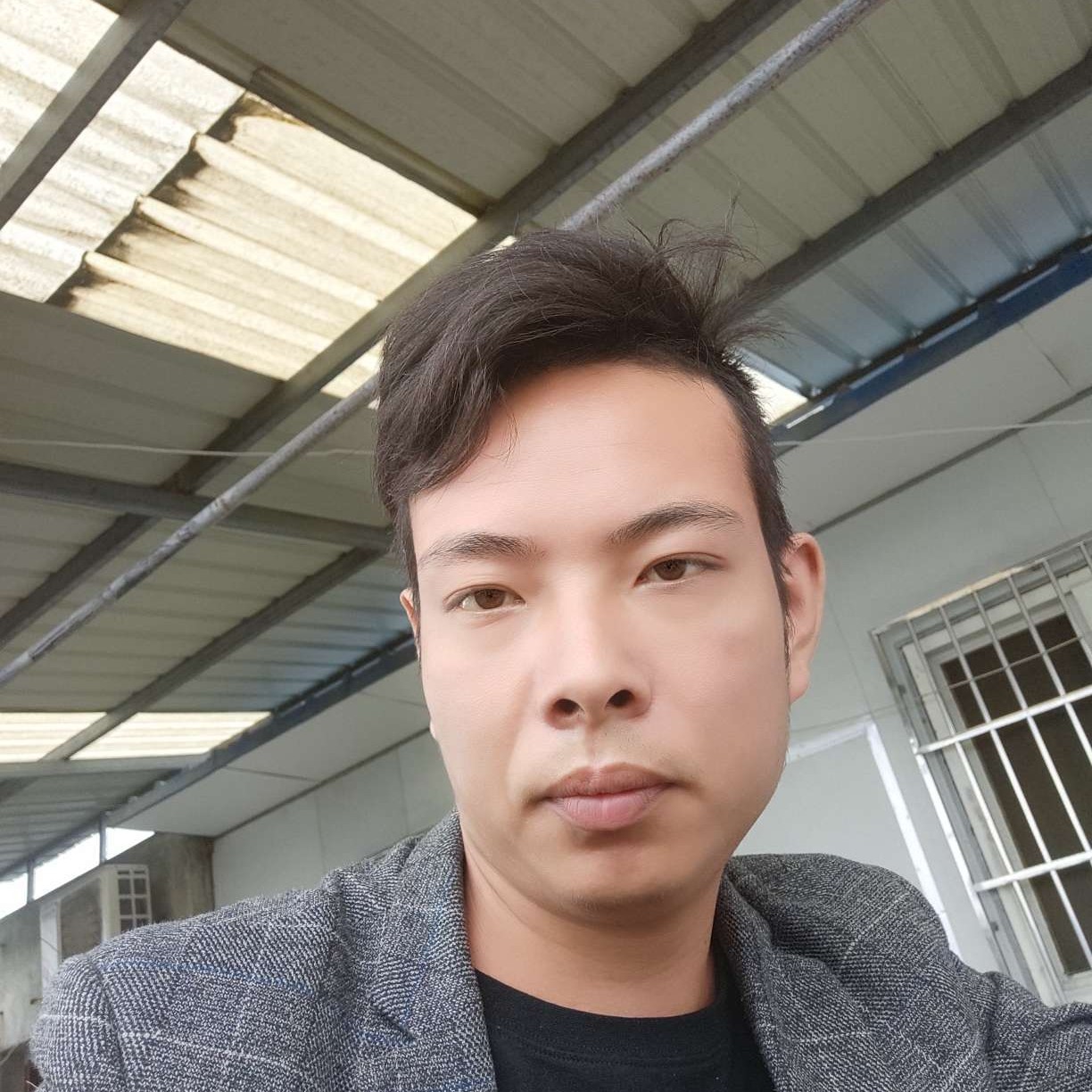 含羞草鳗鱼的照片