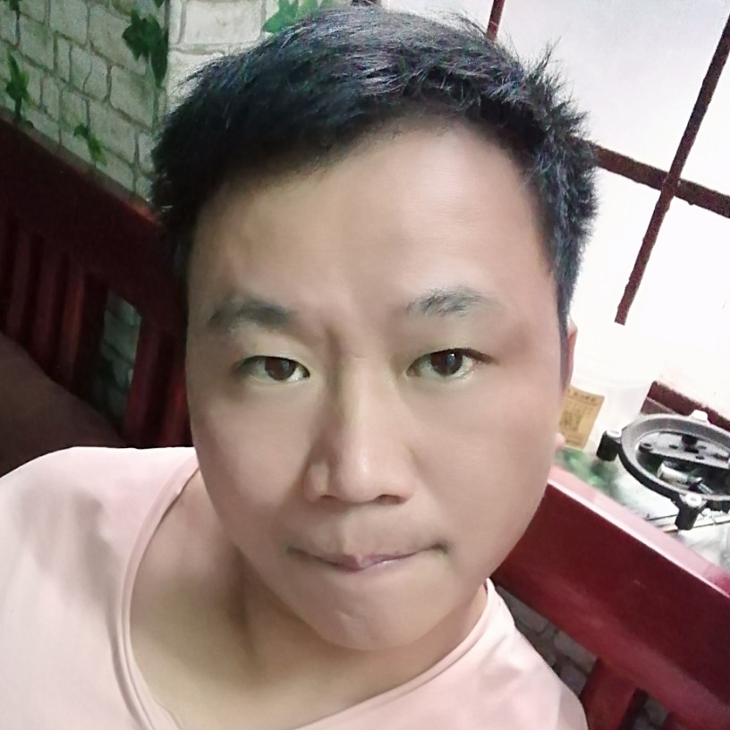 沙滩小骆驼的照片