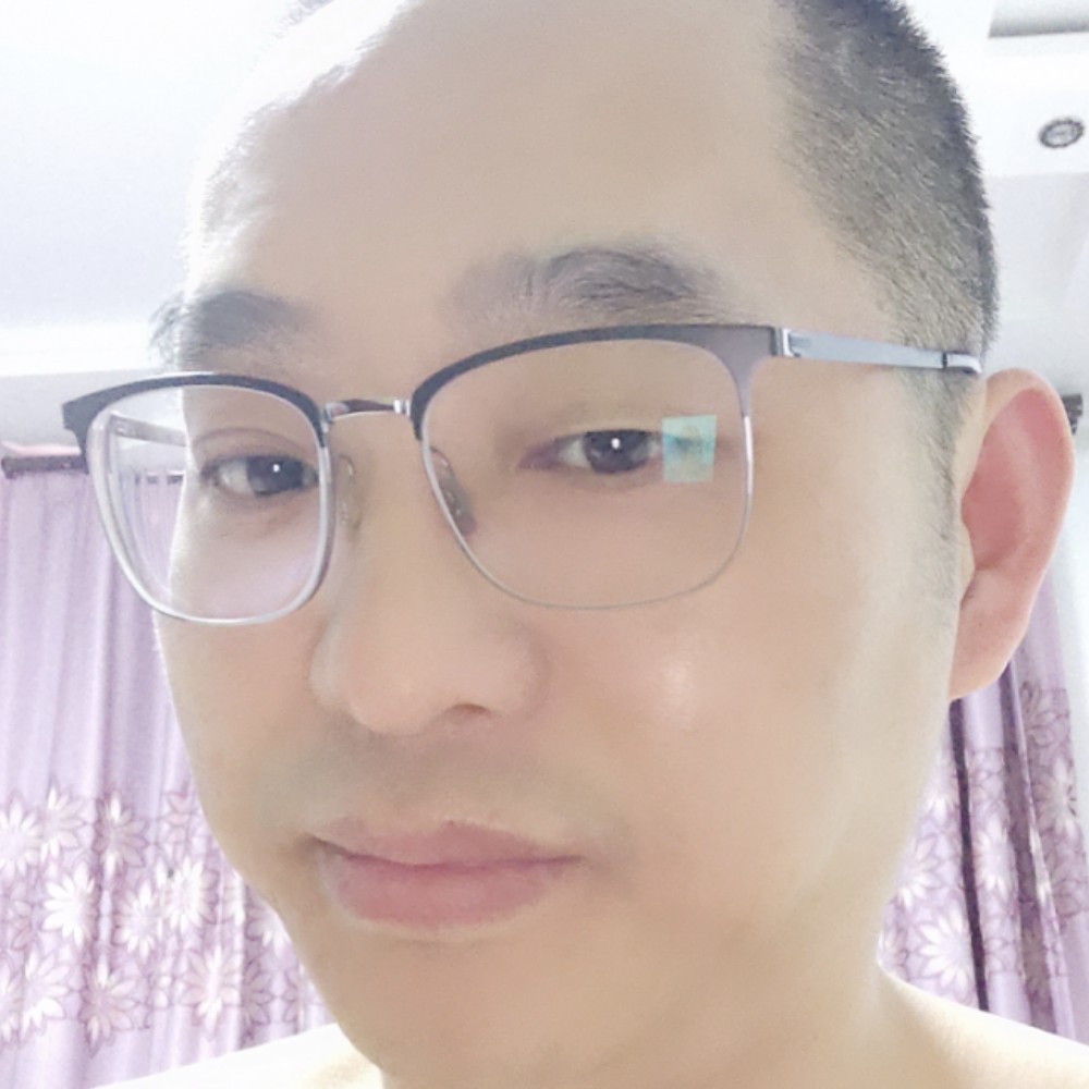 跃起的马的照片