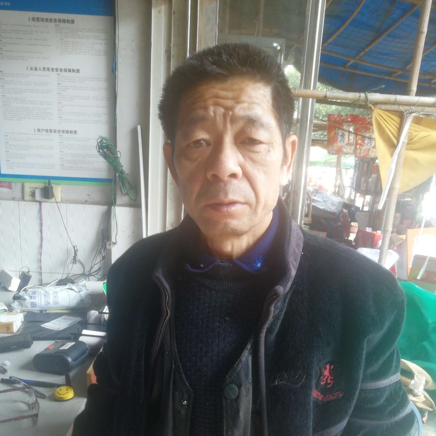 靓丽回首秋天的照片