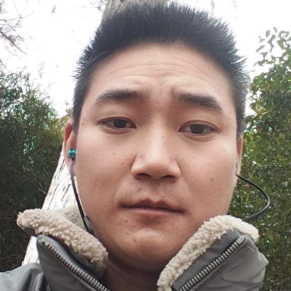 五颜六色的夏天的照片