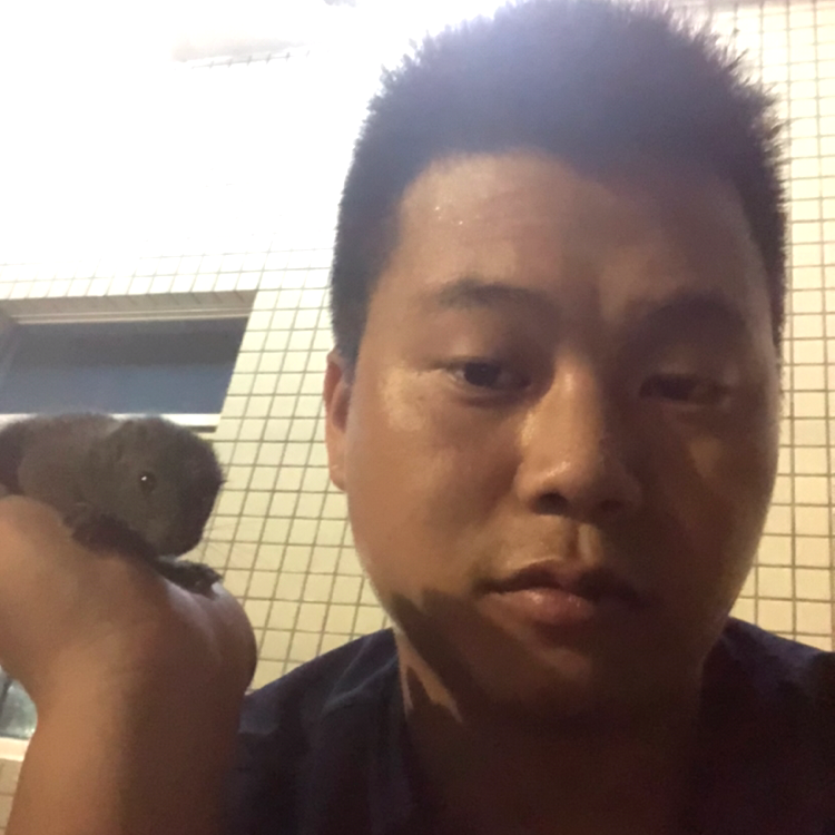 寂冷给过客的照片