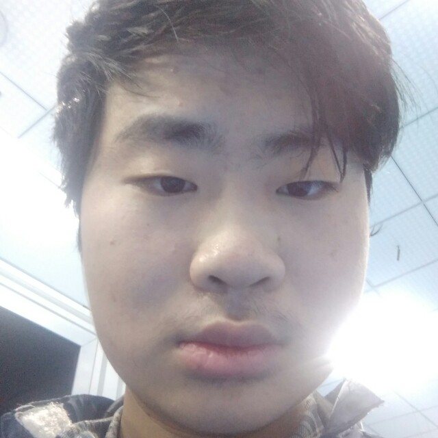 鼠标蹁跹轻松的照片