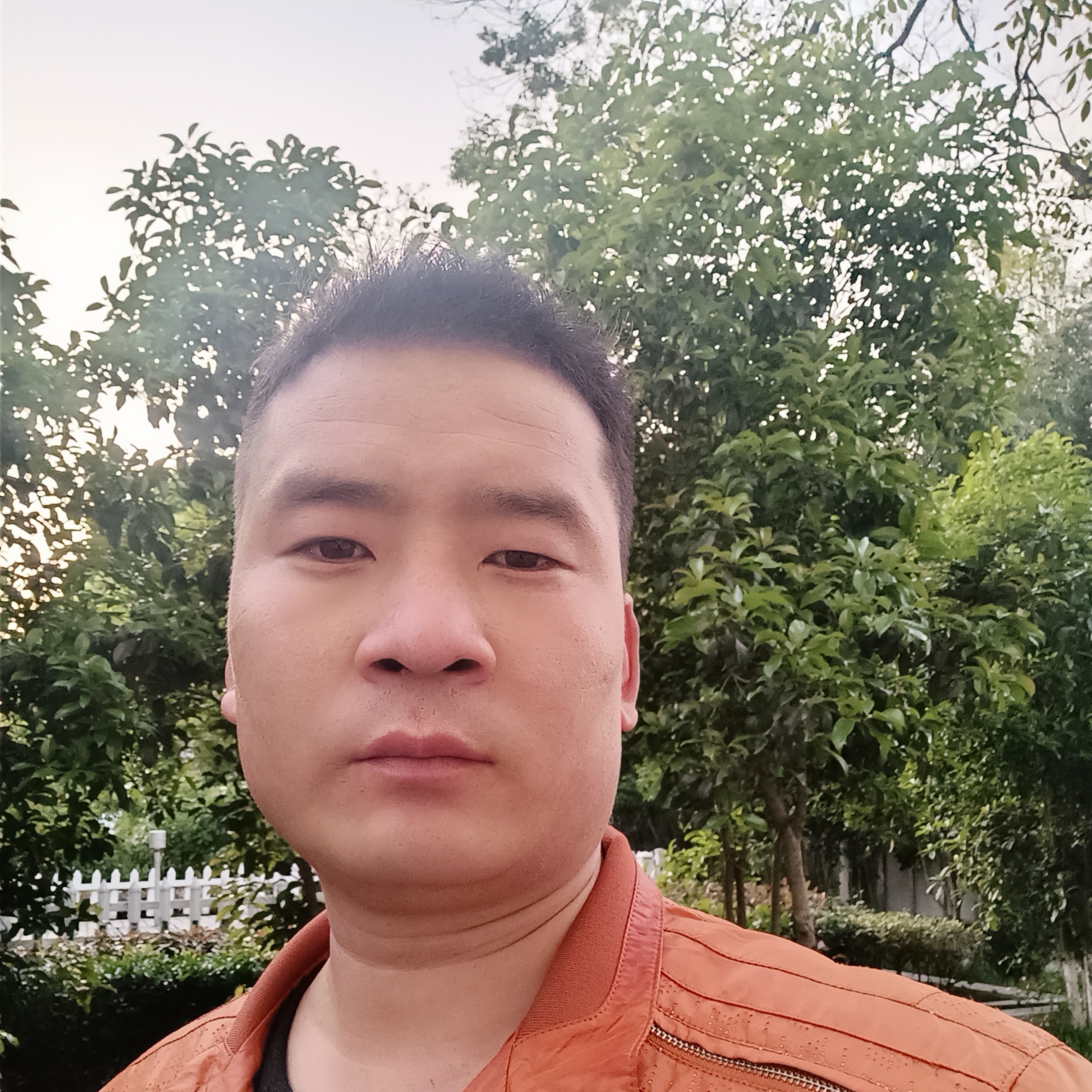 善良书本c的照片