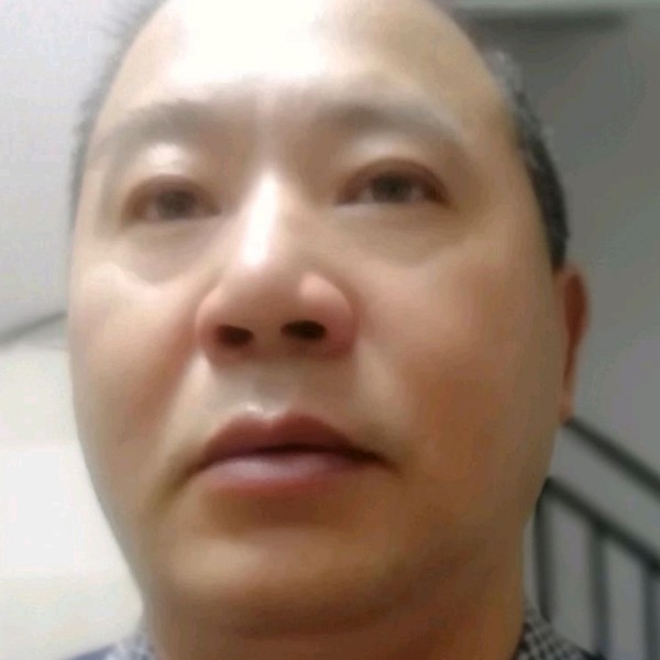 橘子舒适的照片