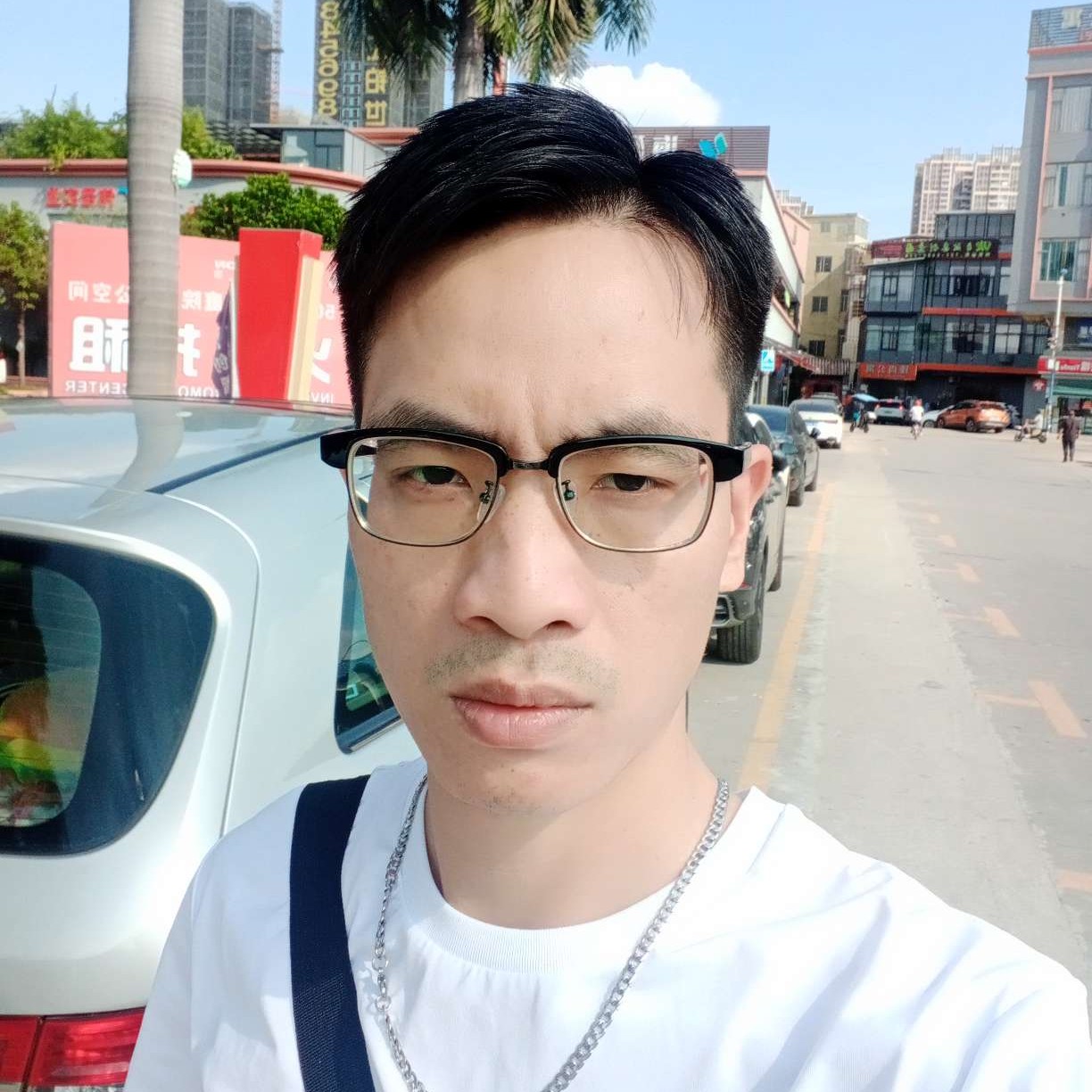 百合的淡然的照片