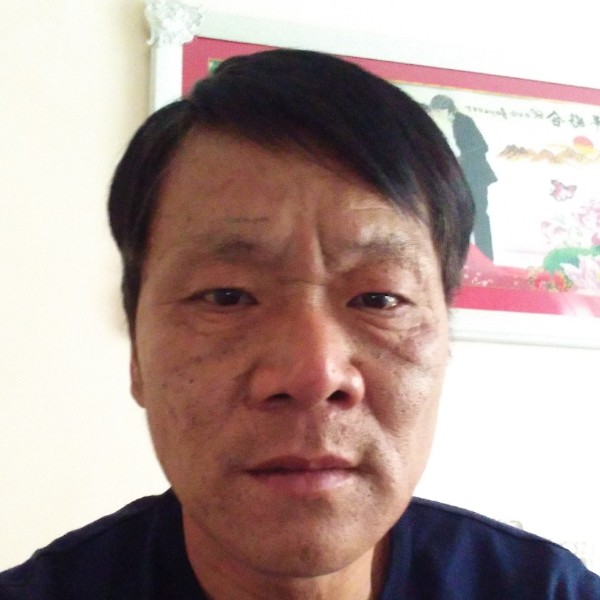 小熊猫向儒雅的照片