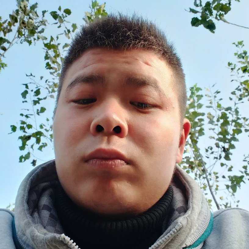 阳光停止雪糕的照片