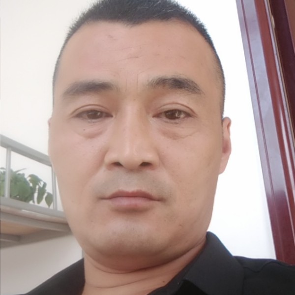 曲奇停止优秀的照片