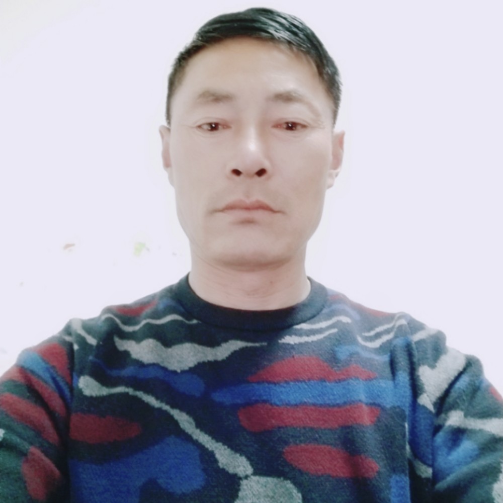 动人书本的照片