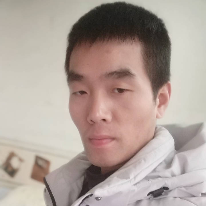 向日葵爱恋畅快的照片