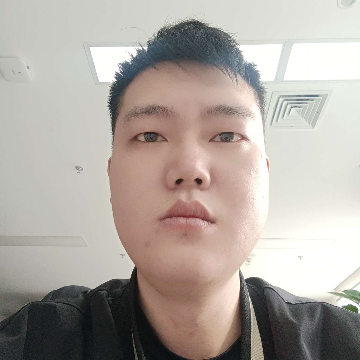 鬼凰的照片