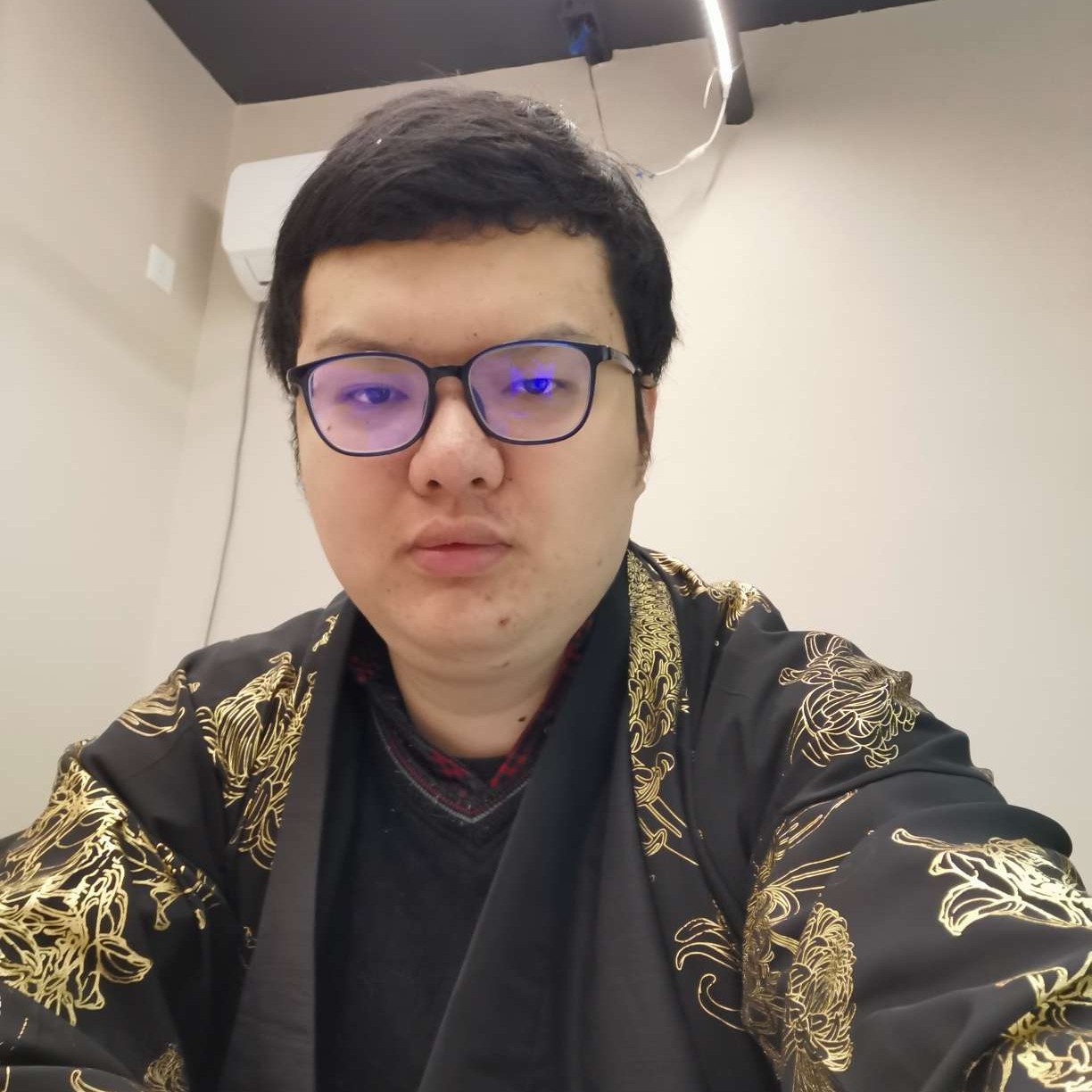 传统就黑猫的照片