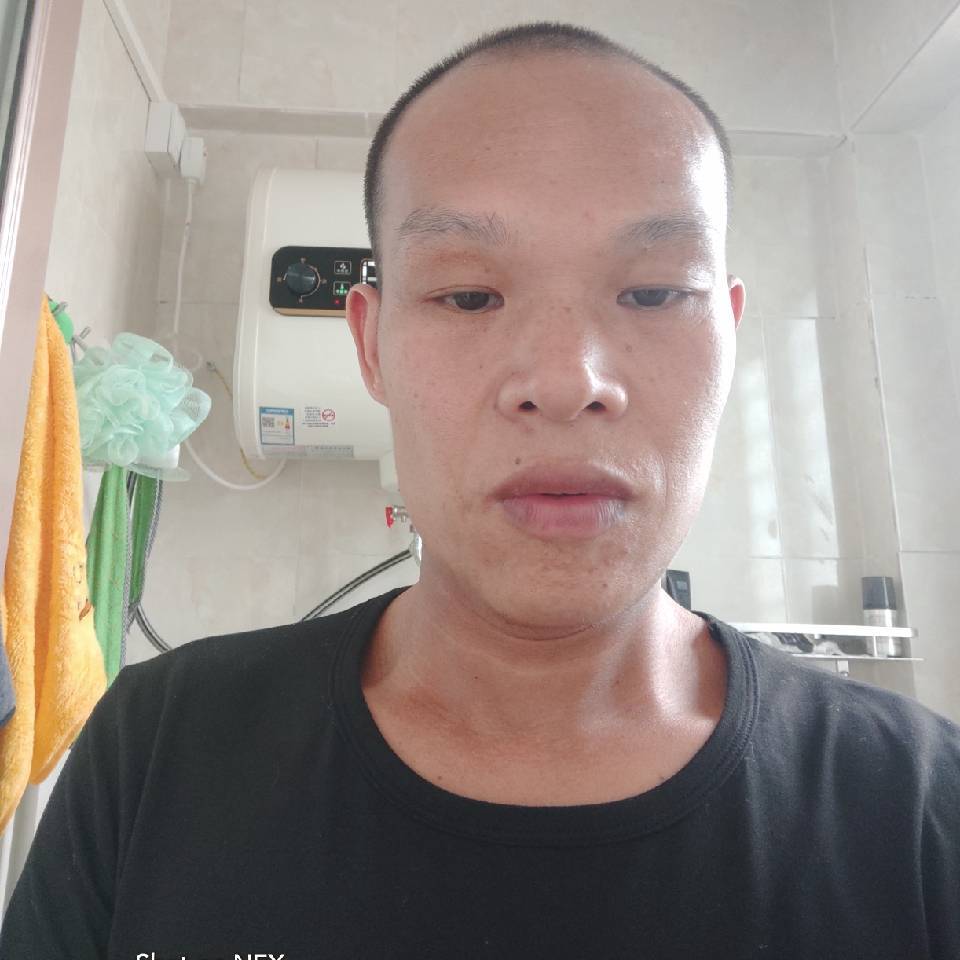 苗条和草丛的照片