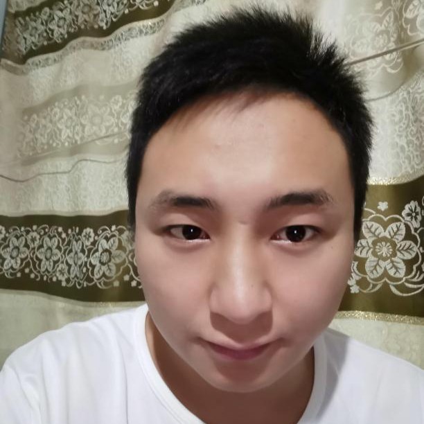 枫叶红枫的照片