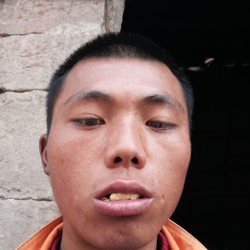 粗心那热狗的照片