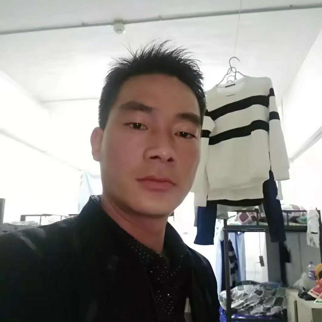 金毛拾忆精明的照片