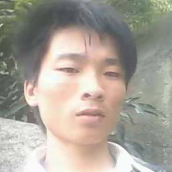 浮生向哈密瓜的照片