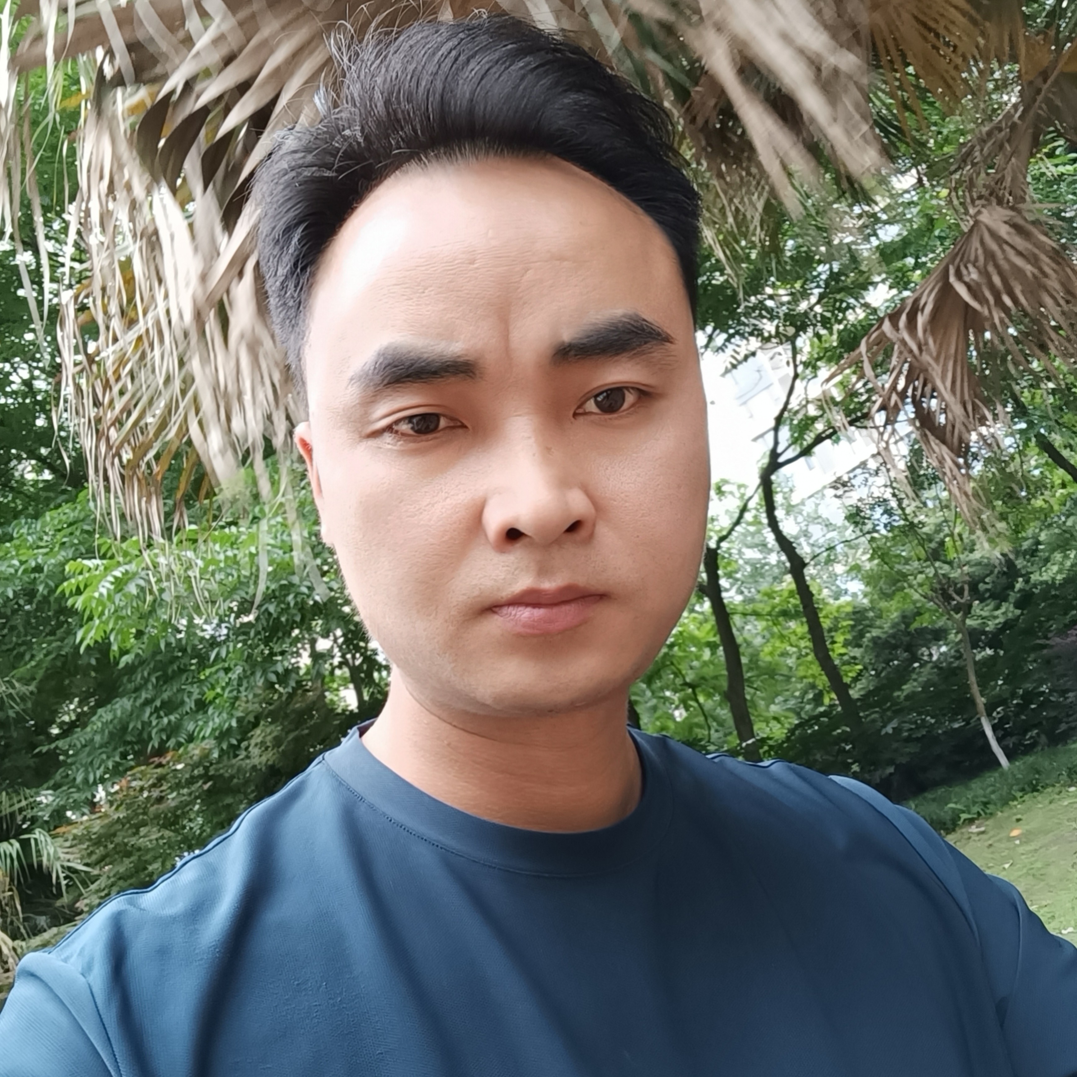 无处安放的人的照片
