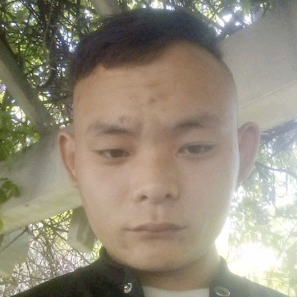 壮观与小笼包的照片