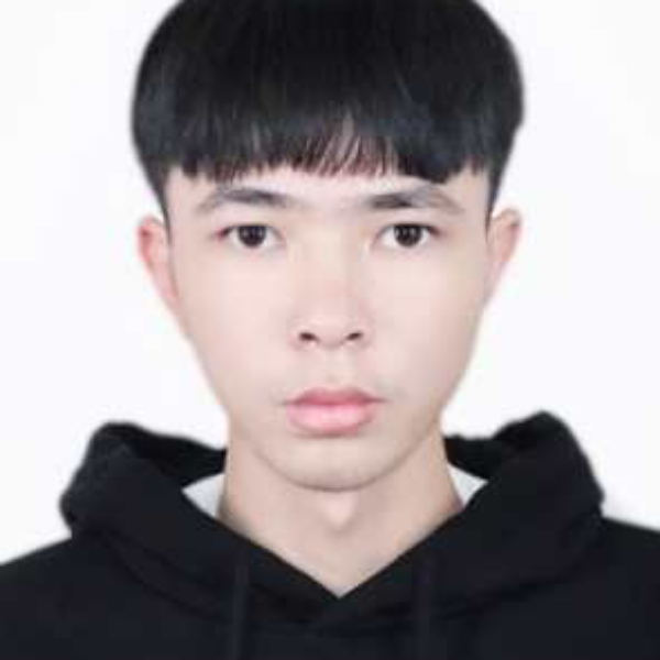 白蚂蚁的照片