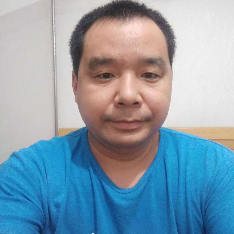 海燕零碎的照片