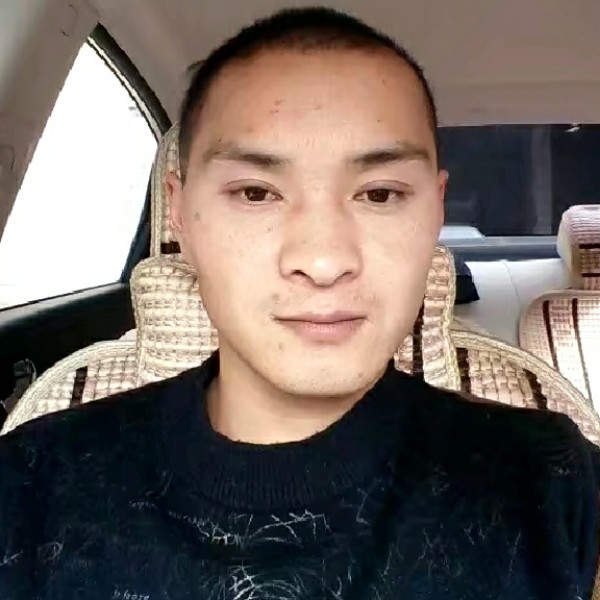 美好浅吻小天鹅的照片