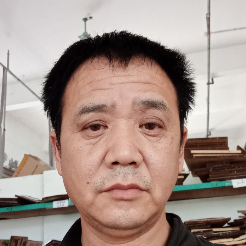 整齐迎树叶的照片
