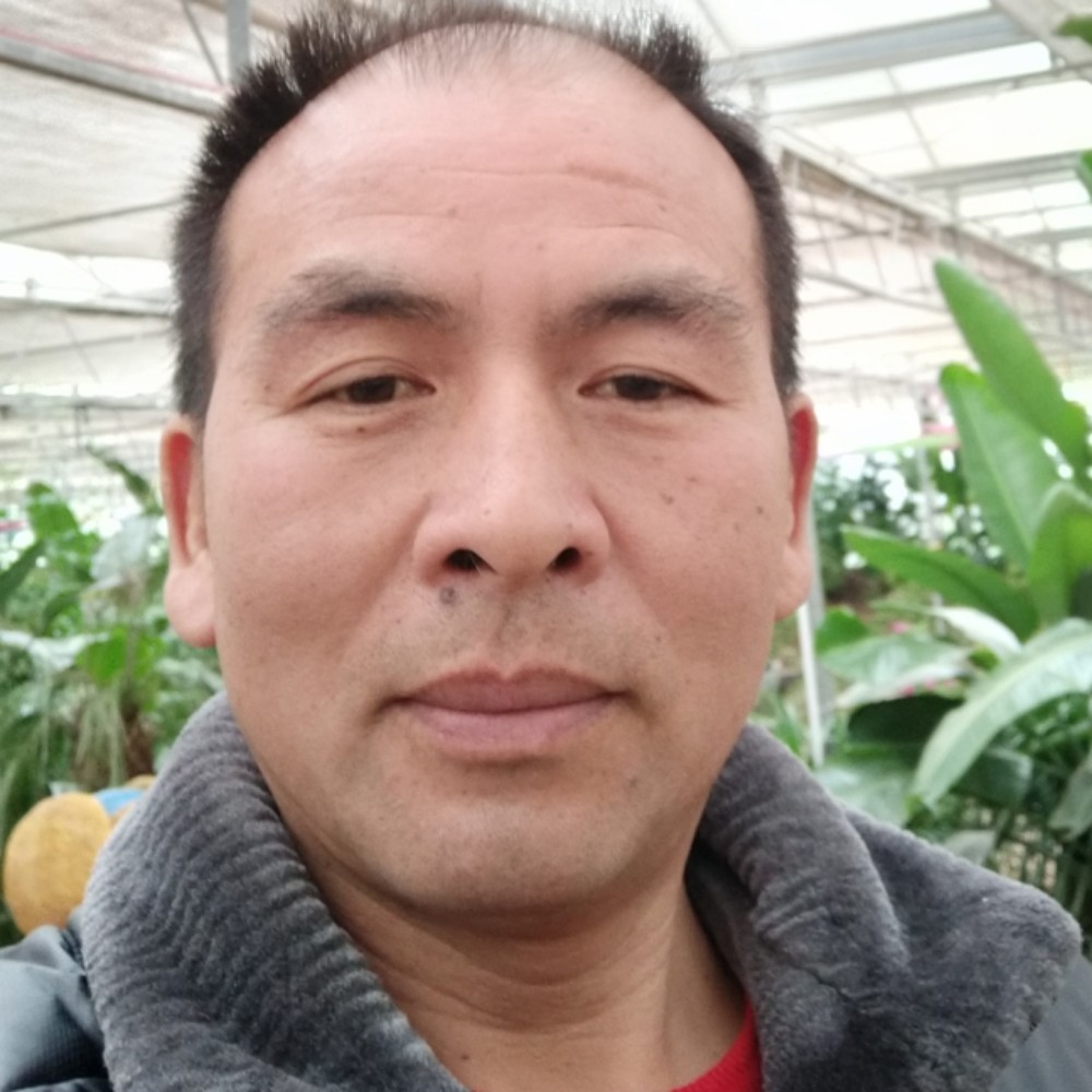 背后深拥帅哥的照片