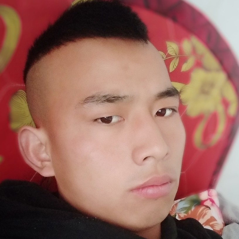桥全的照片