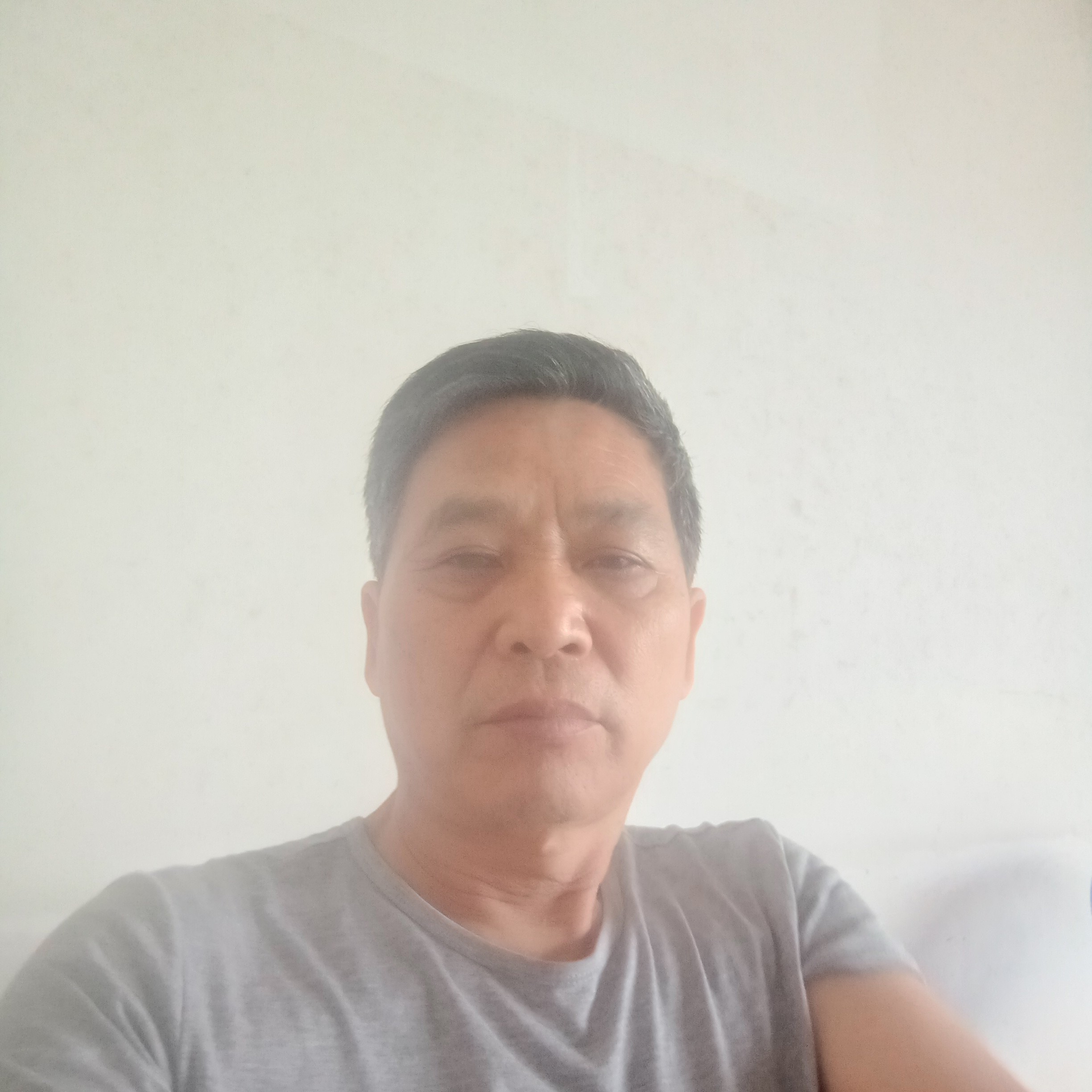 合适倾心白猫的照片