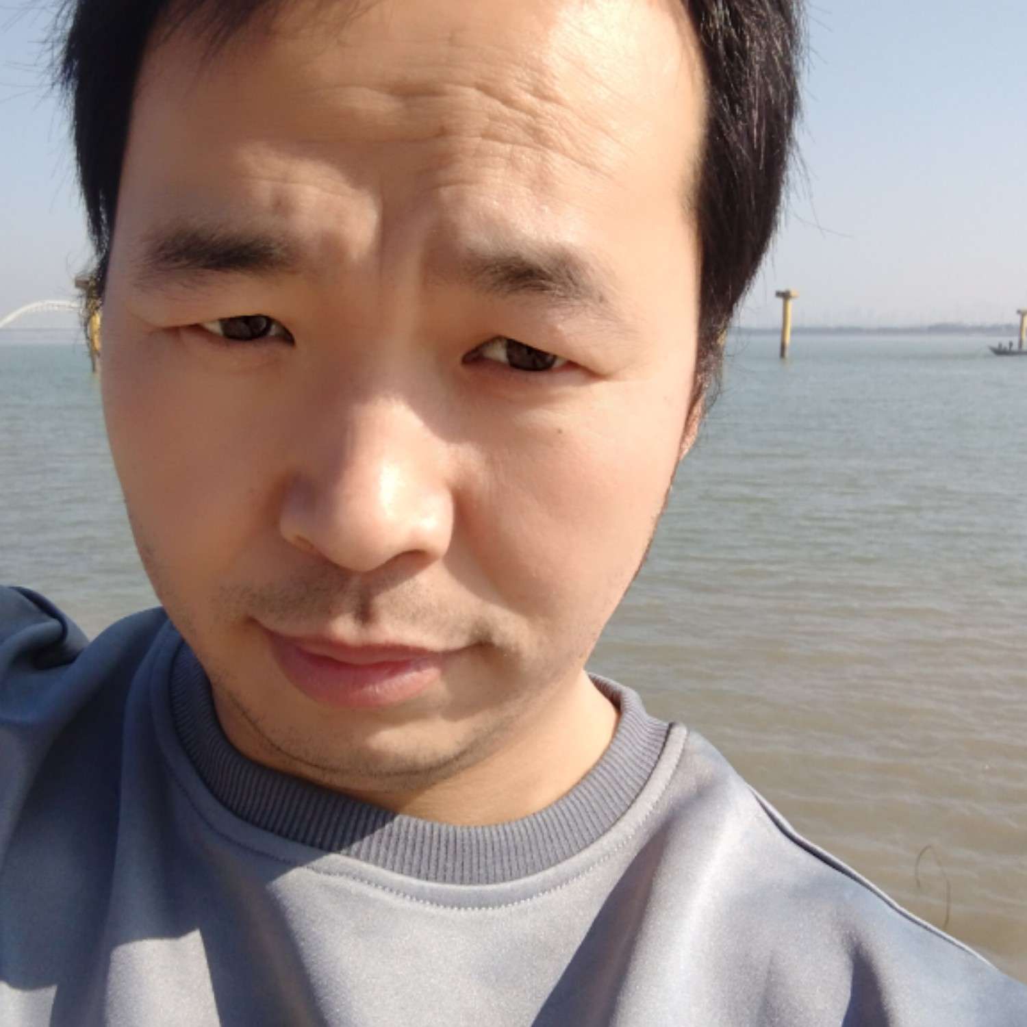 繁荣的鸡的照片