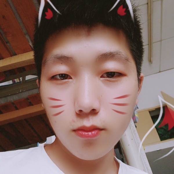 孤独的茶叶的照片