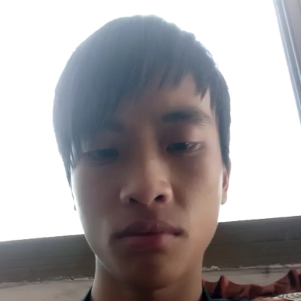 自由邂逅飞鸟的照片