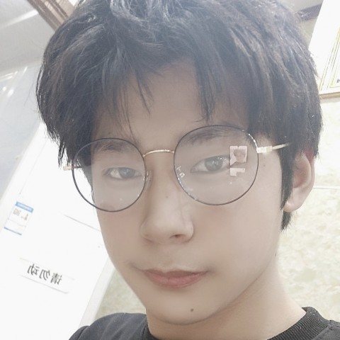 寂灭漫步海燕的照片