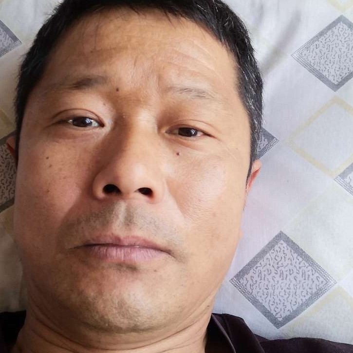 枫叶保卫纯真的照片
