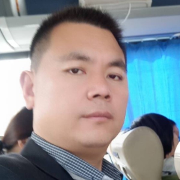 呆萌黄蜂的照片