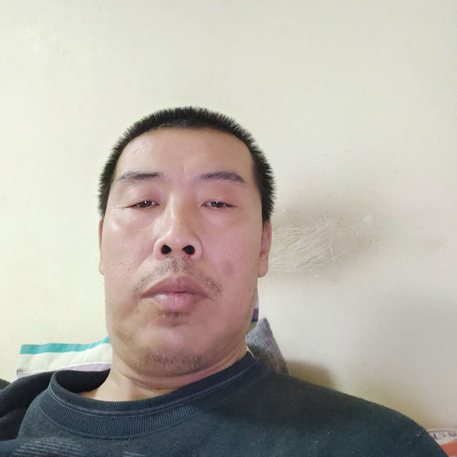 卟璃的照片